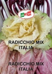 Radicchio Mix Italia